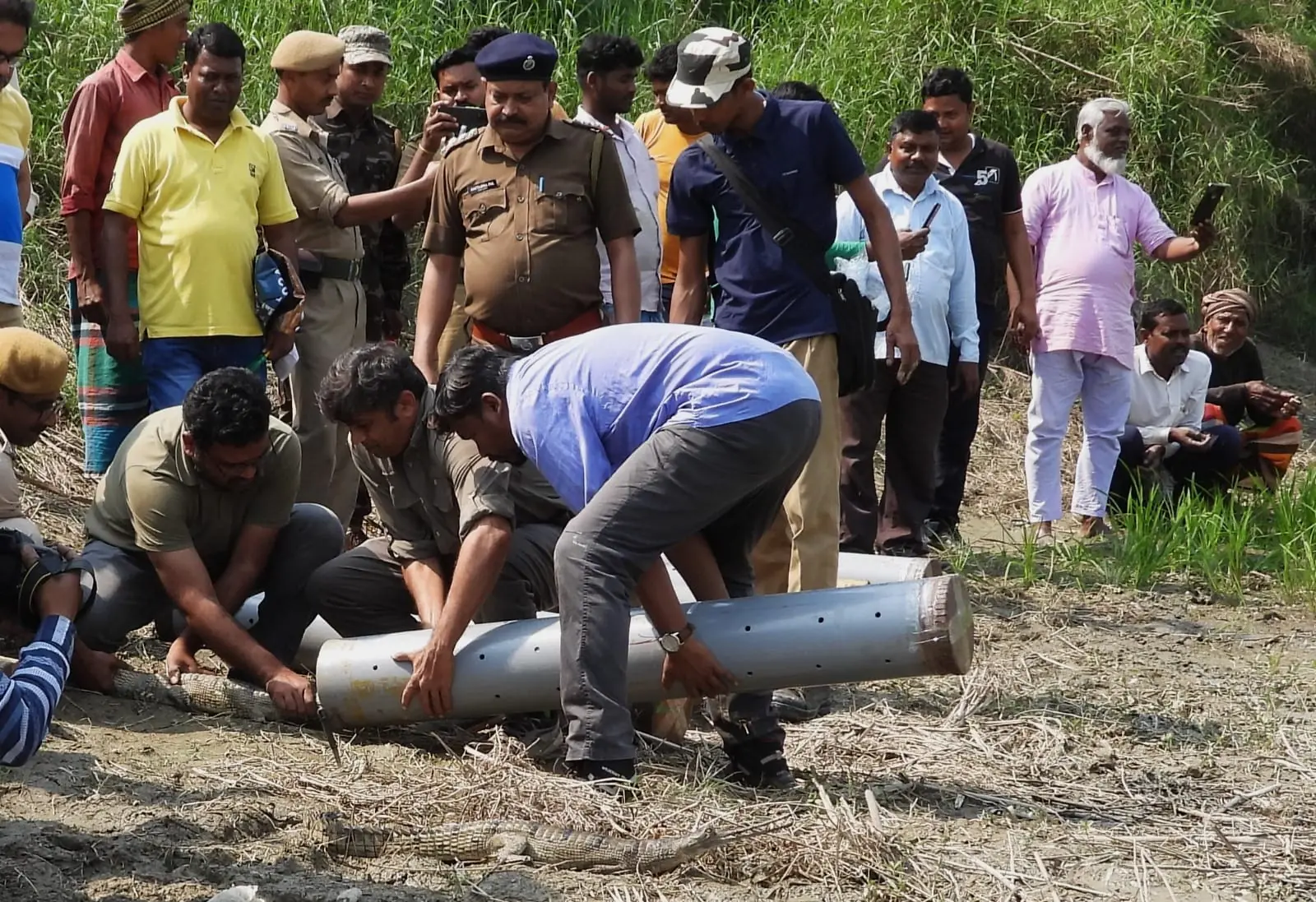 Conservation and forest teams supporting a gharial release