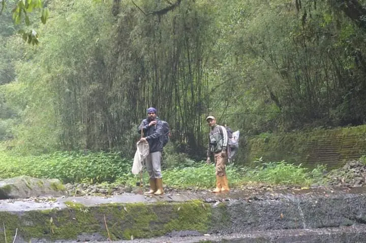 Field researchers in a Himalayan forest landscape
